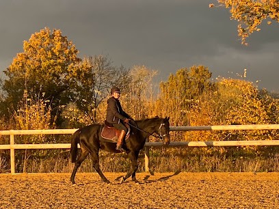 A 10 Mn De Deauville Balade À Horse Area De L'atlas, Centre Equestres à Glanville