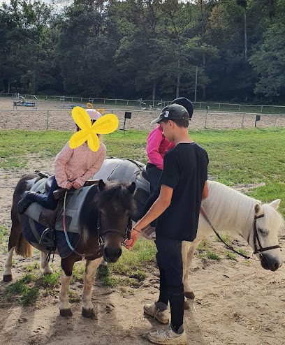 ABC Du Cheval Et Du Poney, Centre Equestres à Trigny