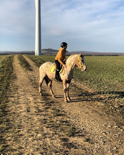 The Small Trot, Centre Equestres à Rehaincourt