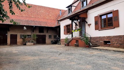 Wanderreitstation Chez Cindy, Centre Equestres à Merkwiller-Pechelbronn