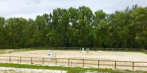 Les Écuries Du Cèdre Centre Équestre à Moreuil