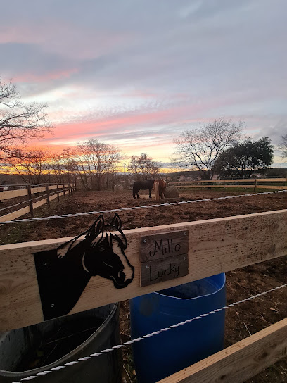 West&Caux, Pension Pour Chevaux à Caux