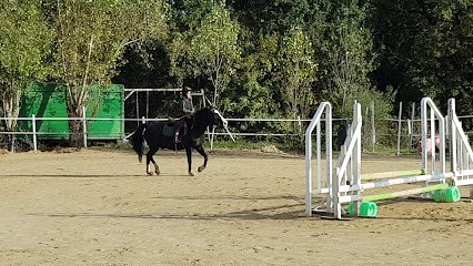 ECURIE DU TERON, Centre Equestres à Pujols