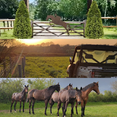 Haras Des Passions, Pension Pour Chevaux à Thorigné-d'Anjou