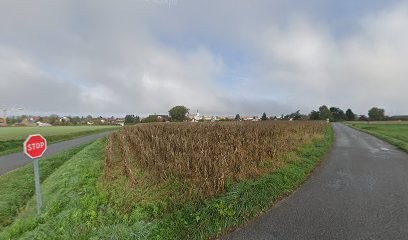 Stables Jean Luc Mourier, Centre Equestres à Messery