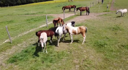 Les Écuries De La Riderie, Centre Équestre à Beaumont-sur-Dême