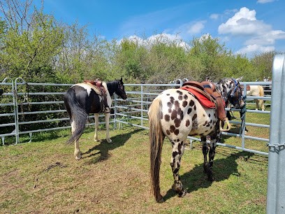 Ferme Equestre Juan - Walking Cheval Jura, Centre Equestres à Fay-en-Montagne