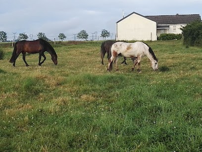 Les Prés Secs, Pension pour Chevaux à Sanry-lès-Vigy