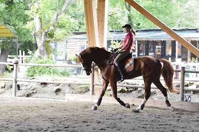 Les Ecuries De Fondurane, Centre Equestres à Montauroux