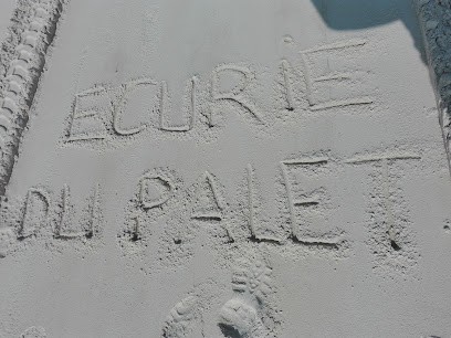 Ecurie Le Palet, Pension pour Chevaux à Thairé