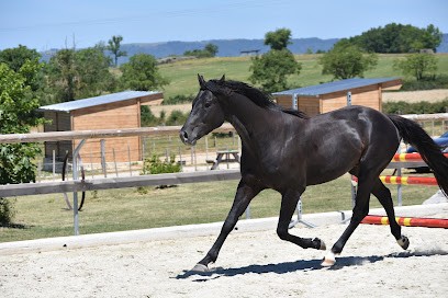 Les écuries d'yci, Centre Equestres à Valady