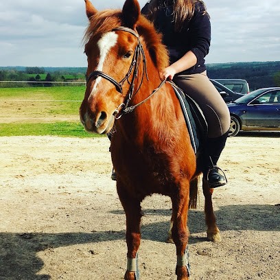 FINANCIERE MONTEL, Centre Equestres à Saint-Hilaire-Bonneval