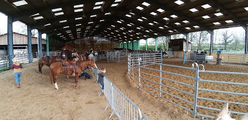 La Ferme des Tilleuls, Pension pour Chevaux à Saint-Riquier