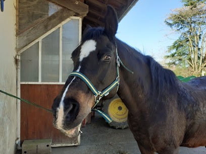 Le Bourriquet, Centre Equestres à Saint-Cassien