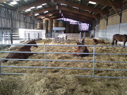 Ecuries Du Clocotel, Pension Pour Chevaux à Comines