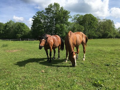 Haras Du Val Galilee, Centre Equestres à Neuvillers-sur-Fave