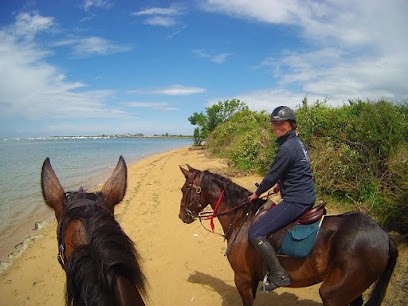 Equestrian Center David Aissa, Centre Equestres à Ouistreham