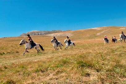 UCPA La Chapelle en Vercors, Centre Equestres à La Chapelle-en-Vercors