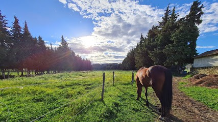 Centre Equidéal - Ecurie De Propriétaires, Pension pour Chevaux à Saint-Paul-Trois-Châteaux