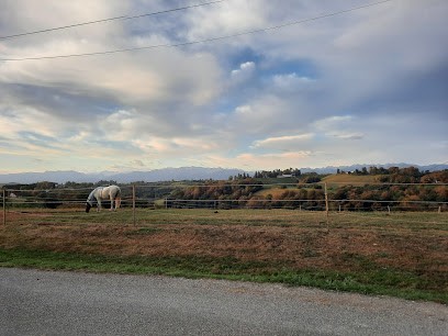 Domaine De Rousse, Pension pour Chevaux à Jurançon