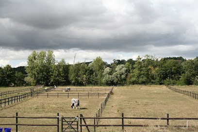 Haras de Chalvergnes, Pension pour Chevaux à Mouroux
