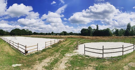 Forev'Jump, Pension pour Chevaux à Beaurepaire-sur-Sambre