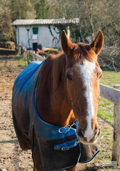 EQUITATION ETHOLOGIQUE LA CHARBONNIERE, Centre Equestres à Rosoy