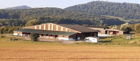 Ecurie Des Sources, Centre Equestres à Thionville