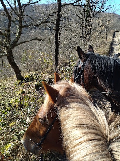 En Selle, Centre Equestres à L'Herm