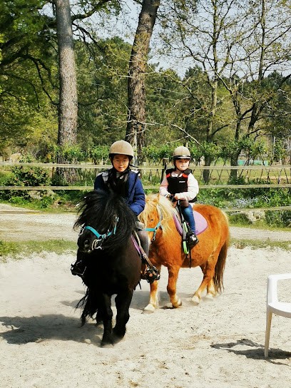 Equicelte, Centre Equestres à Plouharnel