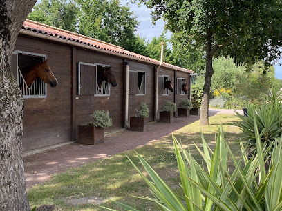 Ecurie Benjamin Etienne Centre Équestre à Sallertaine