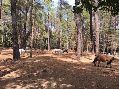 Jemma Odilon, Centre Equestres à Vabres