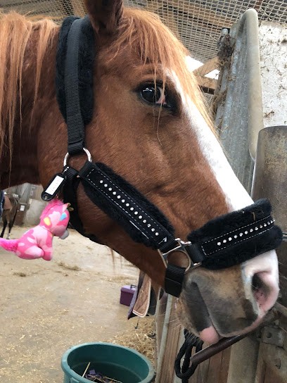 PONEY CLUB ET CENTRE EQUESTRE DES ALLUETS, Centre Equestres aux Alluets-le-Roi