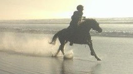 Equestrian Farm La Fontaine, Centre Equestres à Montcléra
