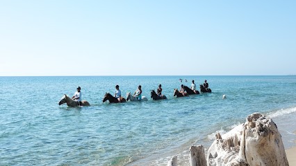 Ranch José, Centre Equestres à Solaro