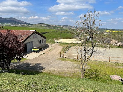 L'Ecurie de Minuit, Pension pour Chevaux à Chabanière