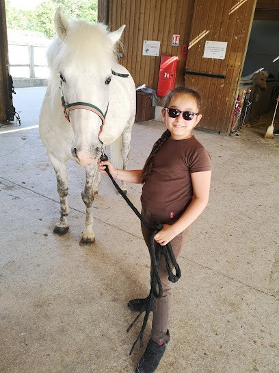 Pony Club Du Port Aux Cerises, Centre Equestres à Draveil