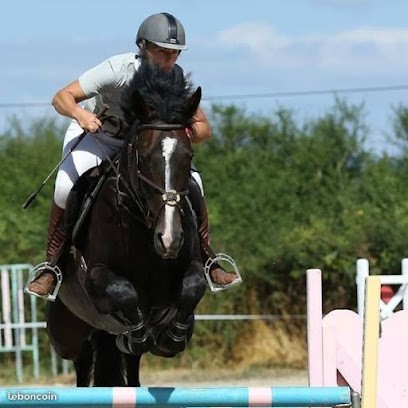 Ecurie De Couronne, Centre Equestres à Vereaux