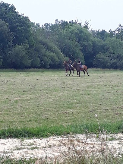 Stud Du Cercle, Centre Equestres à Saint-Gatien-des-Bois