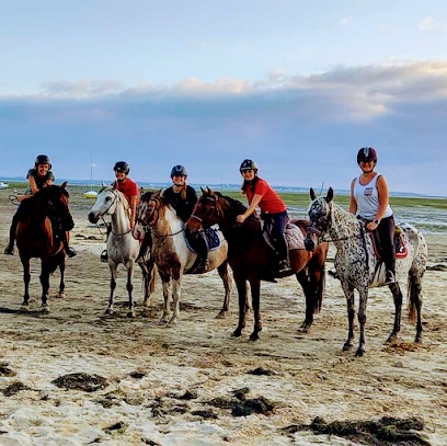 Les Ecuries De Sautuges, Centre Equestres au Temple