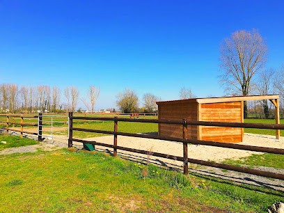 Ecurie Edouard Chauvet - Saumur Action Formation, Centre Equestres à Villebernier