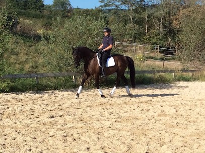Centre Equestre à Lyon Ecuries Du Vallon, Centre Equestres à Sainte-Consorce
