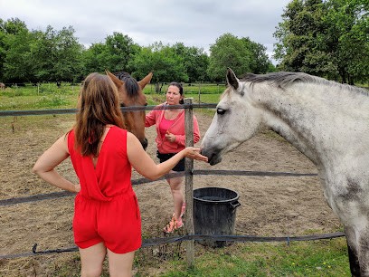 Ecuries de Moulis, Pension pour Chevaux à Moulis-en-Médoc