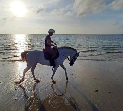 Equestrian Center L'herbaudière, Centre Equestres à Noirmoutier-en-l'Île