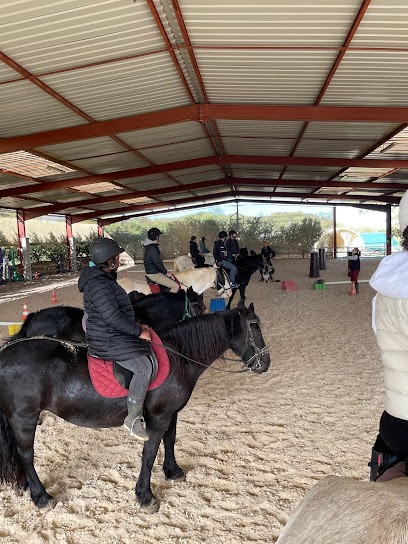 PONEY CLUB DE L ESPERANCE, Centre Equestres à Dampierre-sous-Bouhy