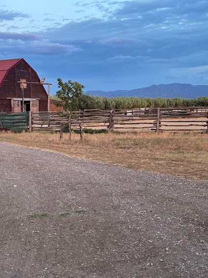 Horses and Co, Centre Equestres à Villeneuve-de-la-Raho