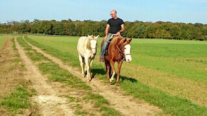Ecurie Deneuville écuries Deuncal, Pension pour Chevaux à Ury