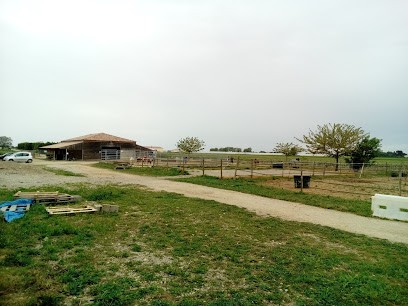 Poney Club De Mudaison, Centre Equestres à Mudaison