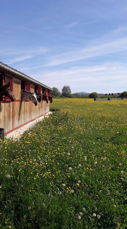 Écurie Des 2 Ponts, Centre Equestres à Lyoffans