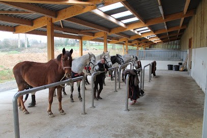 Ecurie Martel - Le Vot, Centre Equestres à Nicorps